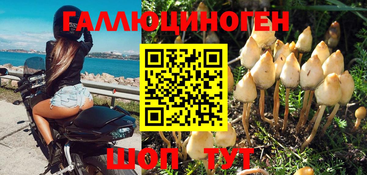 Псилоцибиновые грибы Psilocybe  Псилоцибиновые грибы Psilocybe  Великие Луки  Вход с VPN 